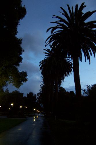 Stanford Campus at Night (palo-alto_100_8037.jpg) wird geladen. Eindrucksvolle Fotos von der Westküste Amerikas erwarten Sie.